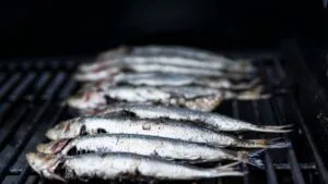 Arroz de Sardinha na Pressão: o Almoço de Panela do Litoral Paulista em Setembro