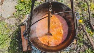 Caldo de Perdiz Caipira com Batata-Doce e Cebolinha Verde: o Jantar de Panela de Setembro