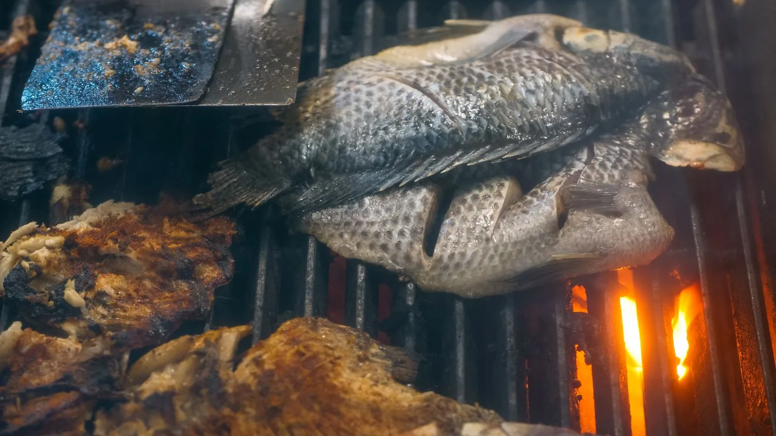 Closeup of fresh tilapia fish being grilled on a charcoal grill, perfect for seafood lovers.