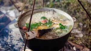 Sopa de Morria com Tucupi e Pimenta de Cheiro: o Jantar de Panela do Baixo Pará em Outubro